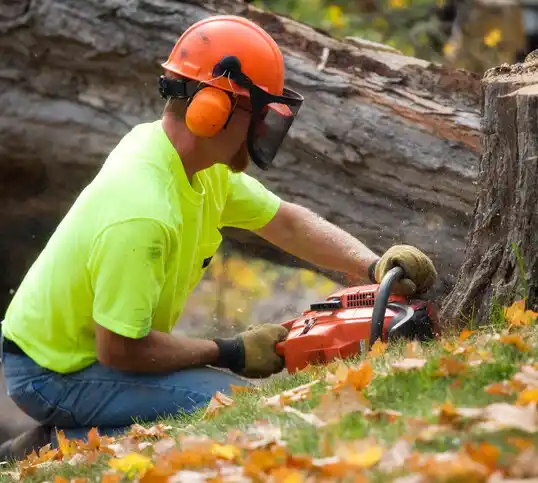 tree services Center Point